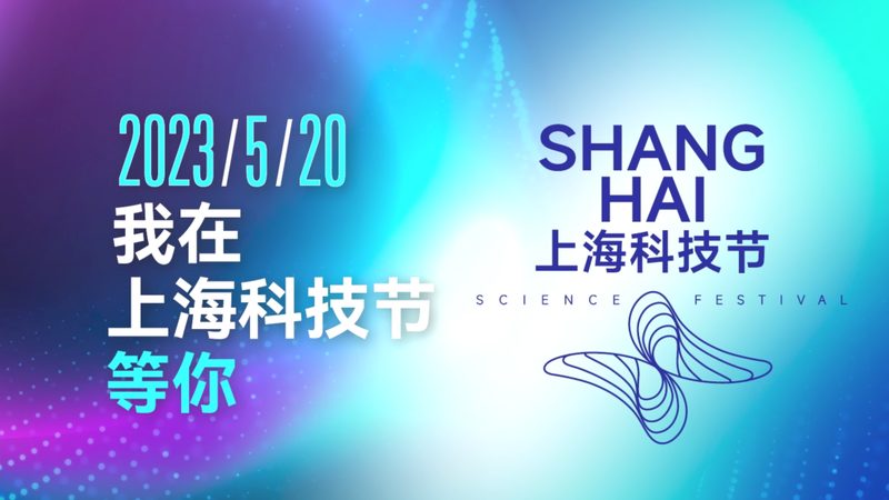 上海数据服务公司技术方案：架构优化与性能提升的关键要素**