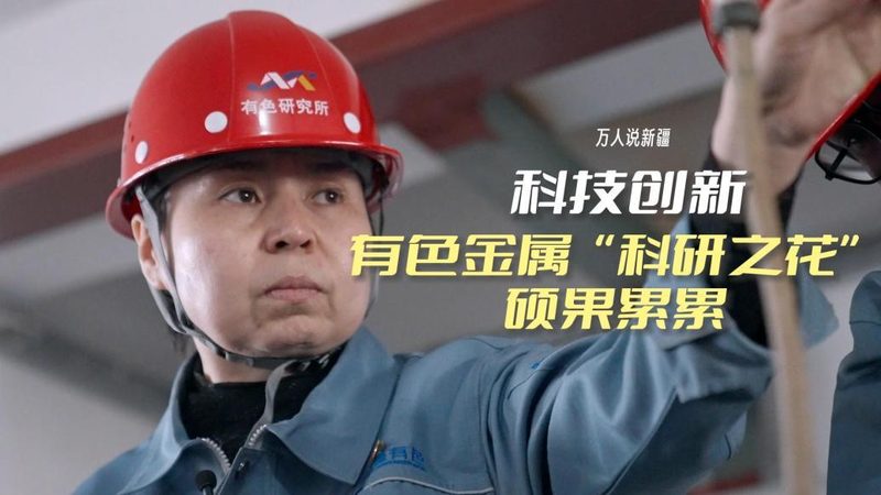 数据可视化图表类型解析：选择与优化之道